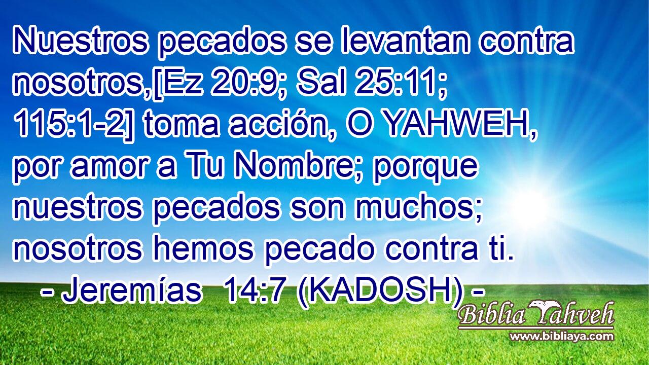  Nuestros pecados se levantan contra nosotros,[Ez 20:9; Sal 25:11; 115:1-2] toma acción, O YAHWEH, por amor a Tu Nombre; porque nuestros pecados son muchos; nosotros hemos pecado contra ti. 