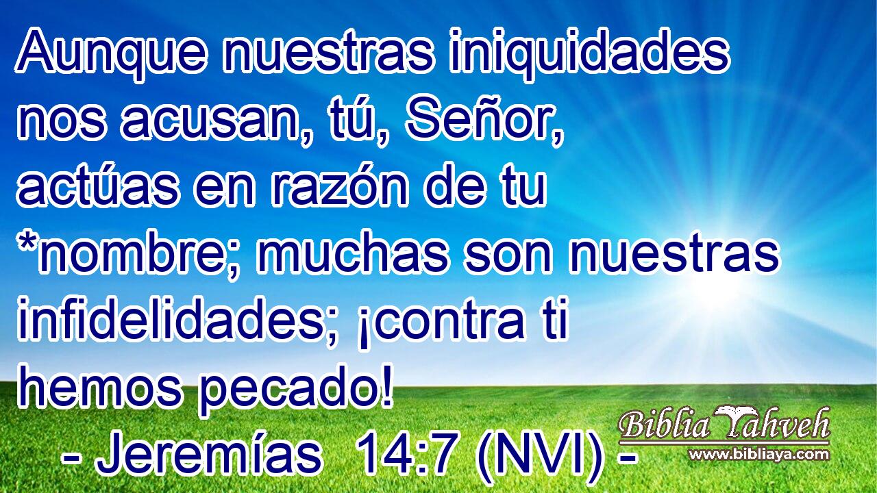  Aunque nuestras iniquidades nos acusan, tú, Señor, actúas en razón de tu *nombre; muchas son nuestras infidelidades; ¡contra ti hemos pecado! 