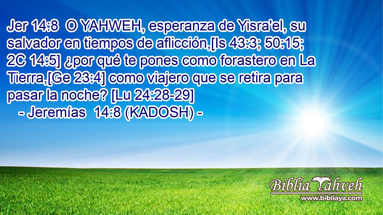  O YAHWEH, esperanza de Yisra'el, su salvador en tiempos de aflicción,[Is 43:3; 50:15; 2C 14:5] ¿por qué te pones como forastero en La Tierra,[Ge 23:4] como viajero que se retira para pasar la noche? [Lu 24:28-29] 