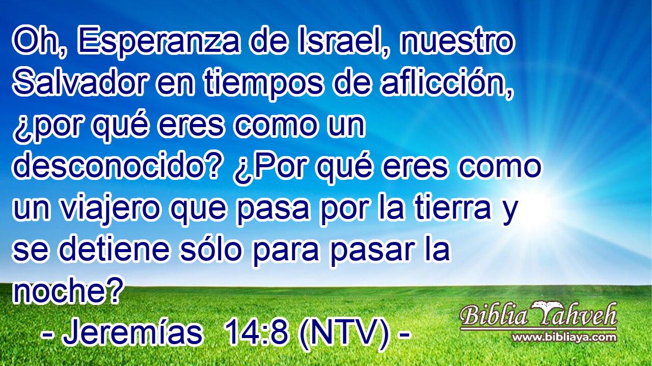 Oh, Esperanza de Israel, nuestro Salvador en tiempos de aflicción, ¿por qué eres como un desconocido? ¿Por qué eres como un viajero que pasa por la tierra y se detiene sólo para pasar la noche?
