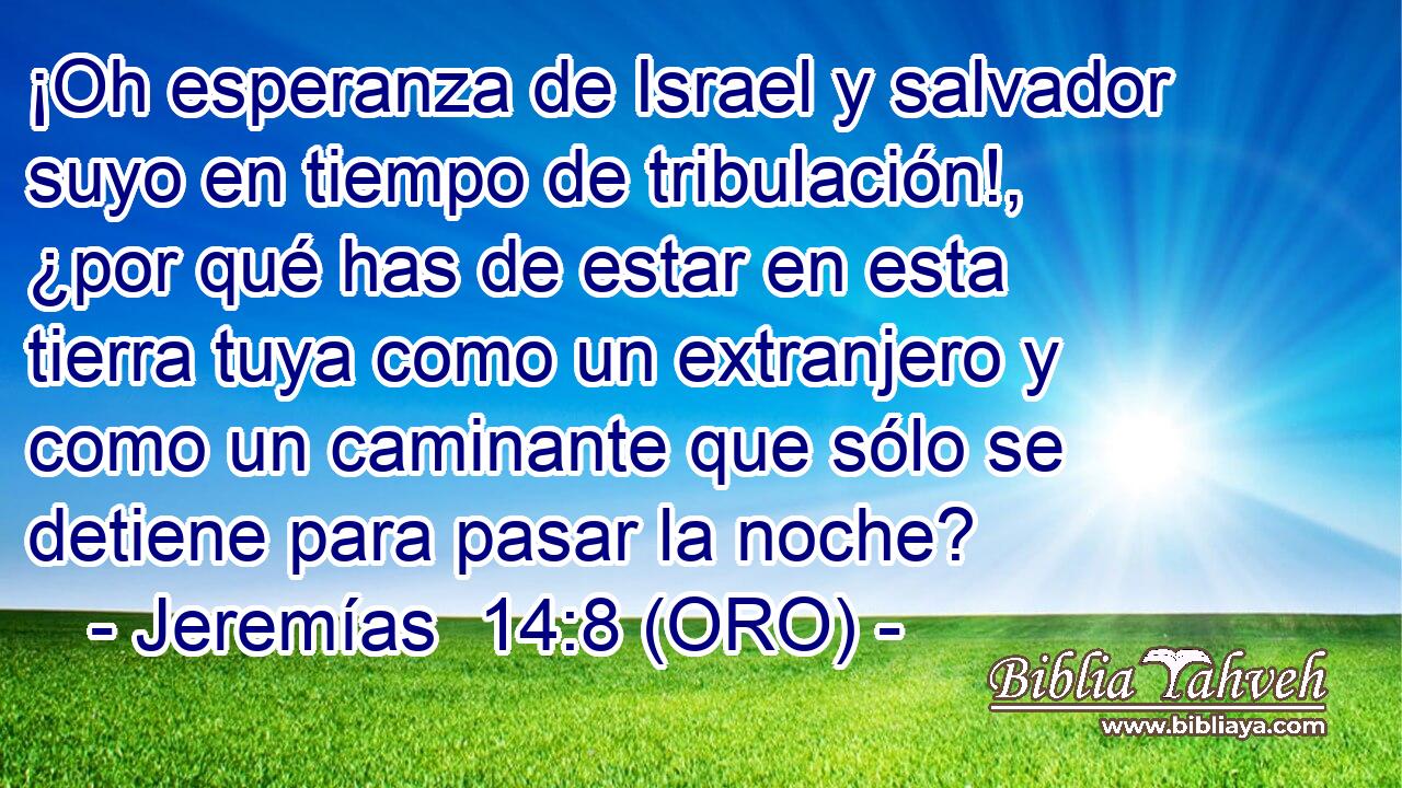  ¡Oh esperanza de Israel y salvador suyo en tiempo de tribulación!, ¿por qué has de estar en esta tierra tuya como un extranjero y como un caminante que sólo se detiene para pasar la noche? 