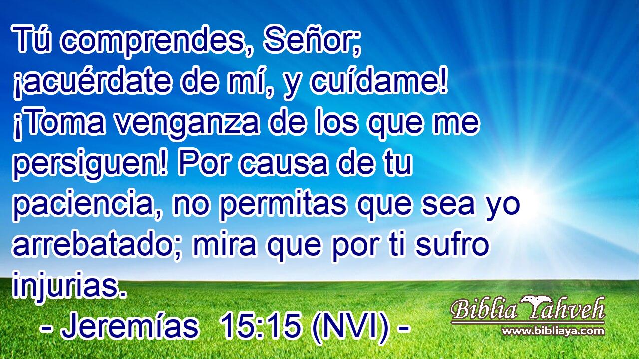  Tú comprendes, Señor; ¡acuérdate de mí, y cuídame! ¡Toma venganza de los que me persiguen! Por causa de tu paciencia, no permitas que sea yo arrebatado; mira que por ti sufro injurias. 