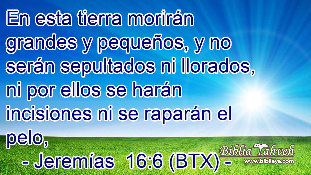 En esta tierra morirán grandes y pequeños, y no serán sepultados ni llorados, ni por ellos se harán incisiones ni se raparán el pelo,