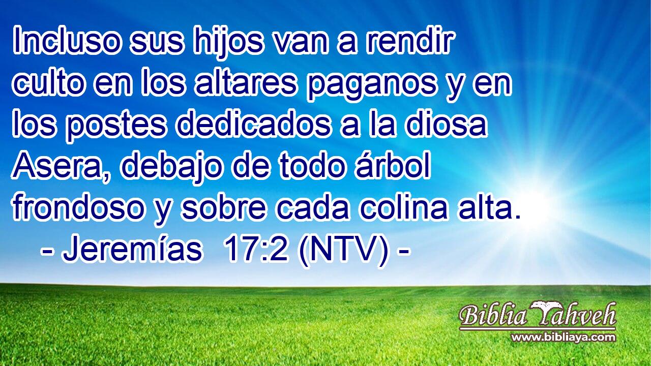 Incluso sus hijos van a rendir culto en los altares paganos y en los postes dedicados a la diosa Asera, debajo de todo árbol frondoso y sobre cada colina alta.