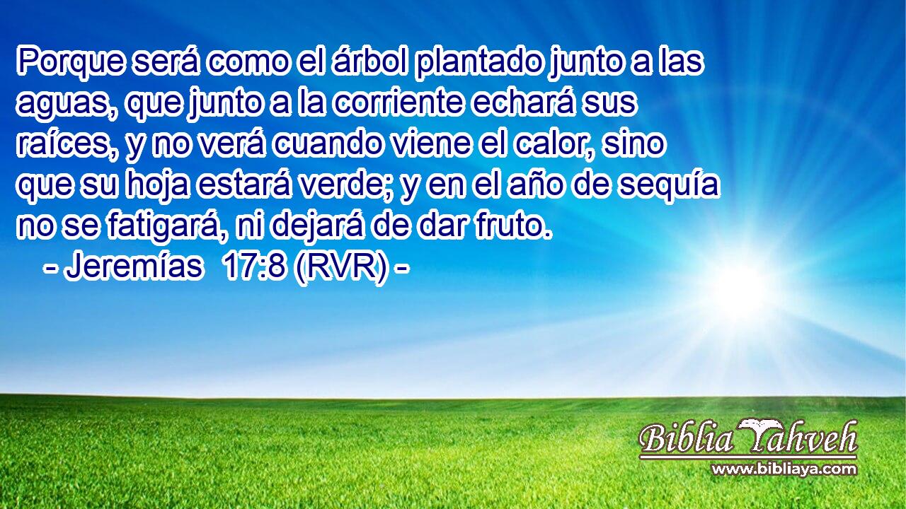 Porque será como el árbol plantado junto a las aguas, que junto a la corriente echará sus raíces, y no verá cuando viene el calor, sino que su hoja estará verde; y en el año de sequía no se fatigará, ni dejará de dar fruto.