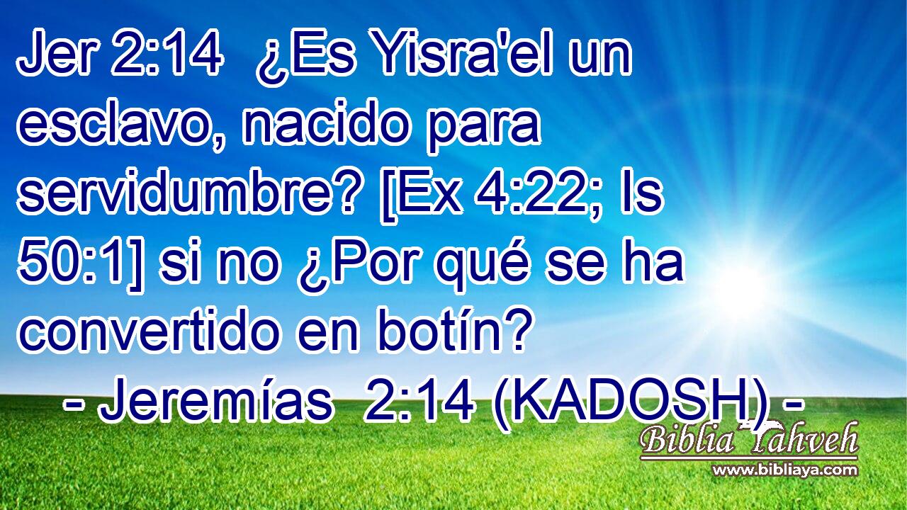  ¿Es Yisra'el un esclavo, nacido para servidumbre? [Ex 4:22; Is 50:1] si no ¿Por qué se ha convertido en botín? 