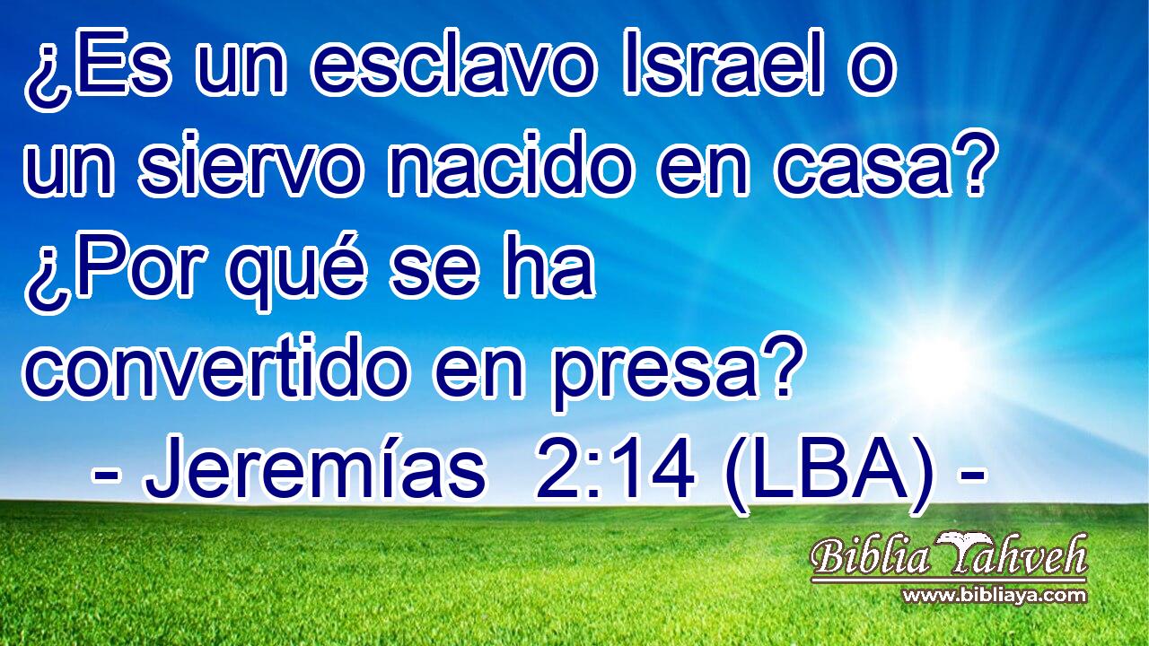 ¿Es un esclavo Israel o un siervo nacido en casa? ¿Por qué se ha convertido en presa?