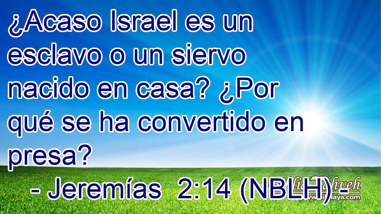  ¿Acaso Israel es un esclavo o un siervo nacido en casa? ¿Por qué se ha convertido en presa? 