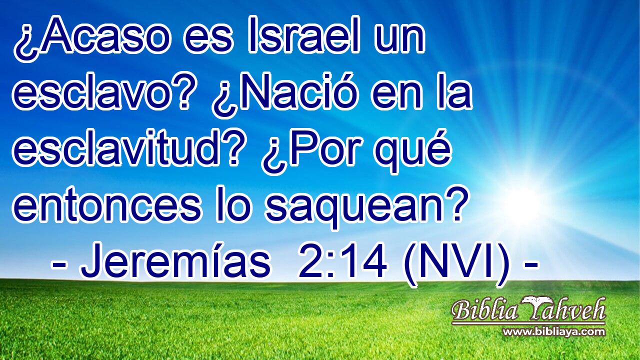  ¿Acaso es Israel un esclavo? ¿Nació en la esclavitud? ¿Por qué entonces lo saquean? 