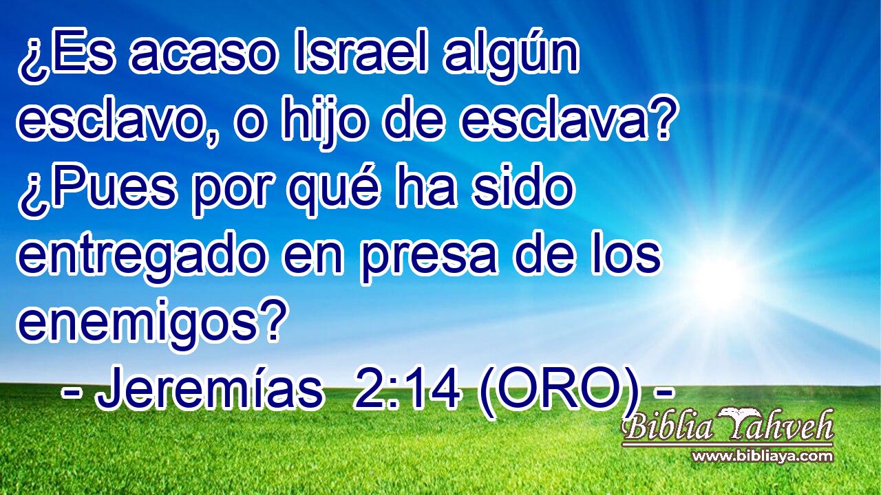  ¿Es acaso Israel algún esclavo, o hijo de esclava? ¿Pues por qué ha sido entregado en presa de los enemigos? 