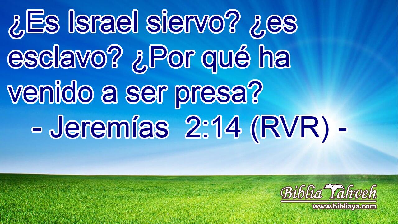 ¿Es Israel siervo? ¿es esclavo? ¿Por qué ha venido a ser presa?