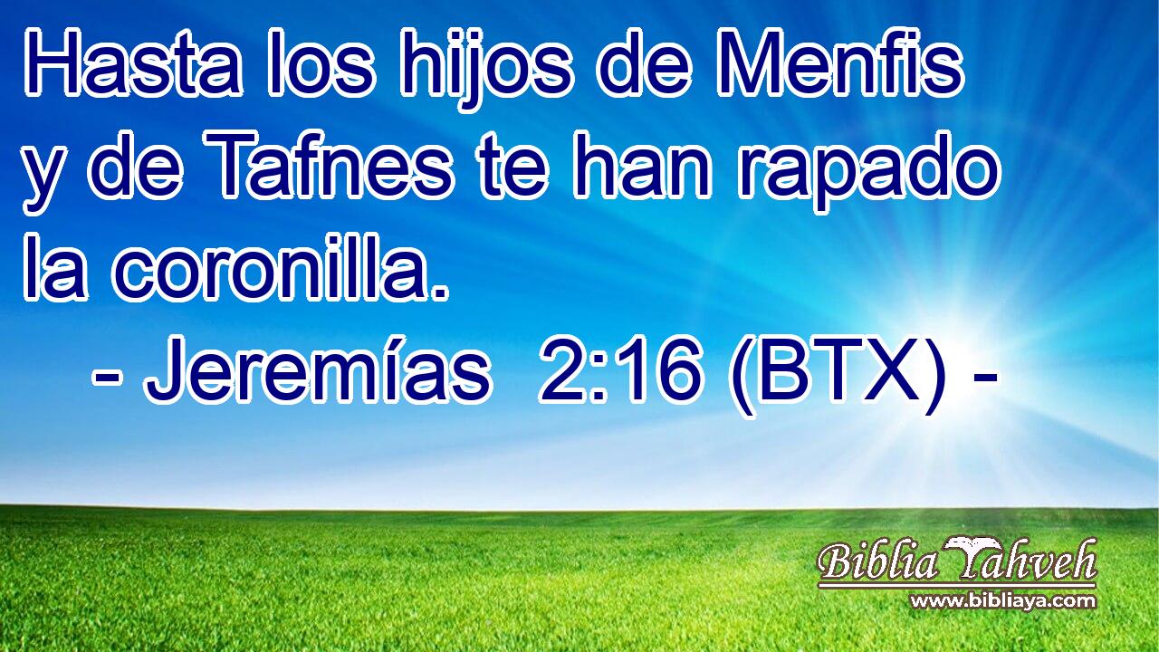 Hasta los hijos de Menfis y de Tafnes te han rapado la coronilla.