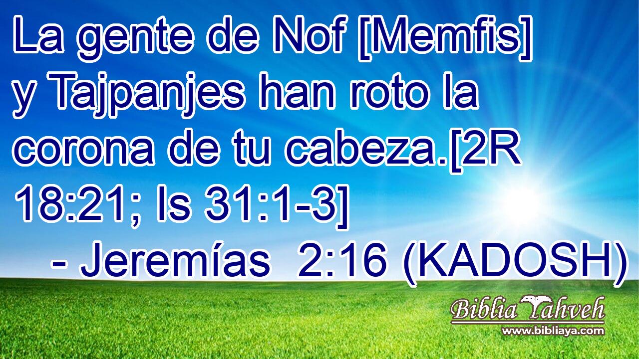  La gente de Nof [Memfis] y Tajpanjes han roto la corona de tu cabeza.[2R 18:21; Is 31:1-3] 