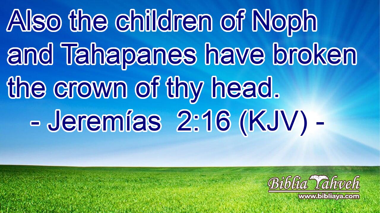 Also the children of Noph and Tahapanes have broken the crown of thy head.