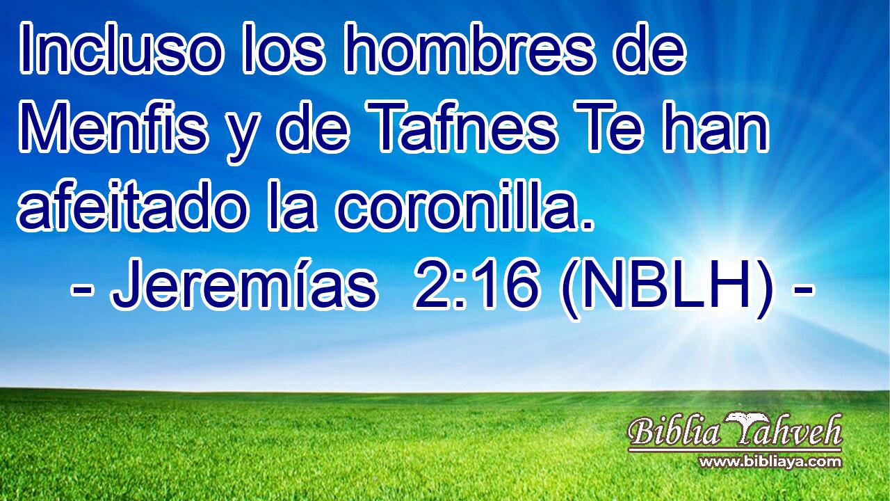  Incluso los hombres de Menfis y de Tafnes Te han afeitado la coronilla. 