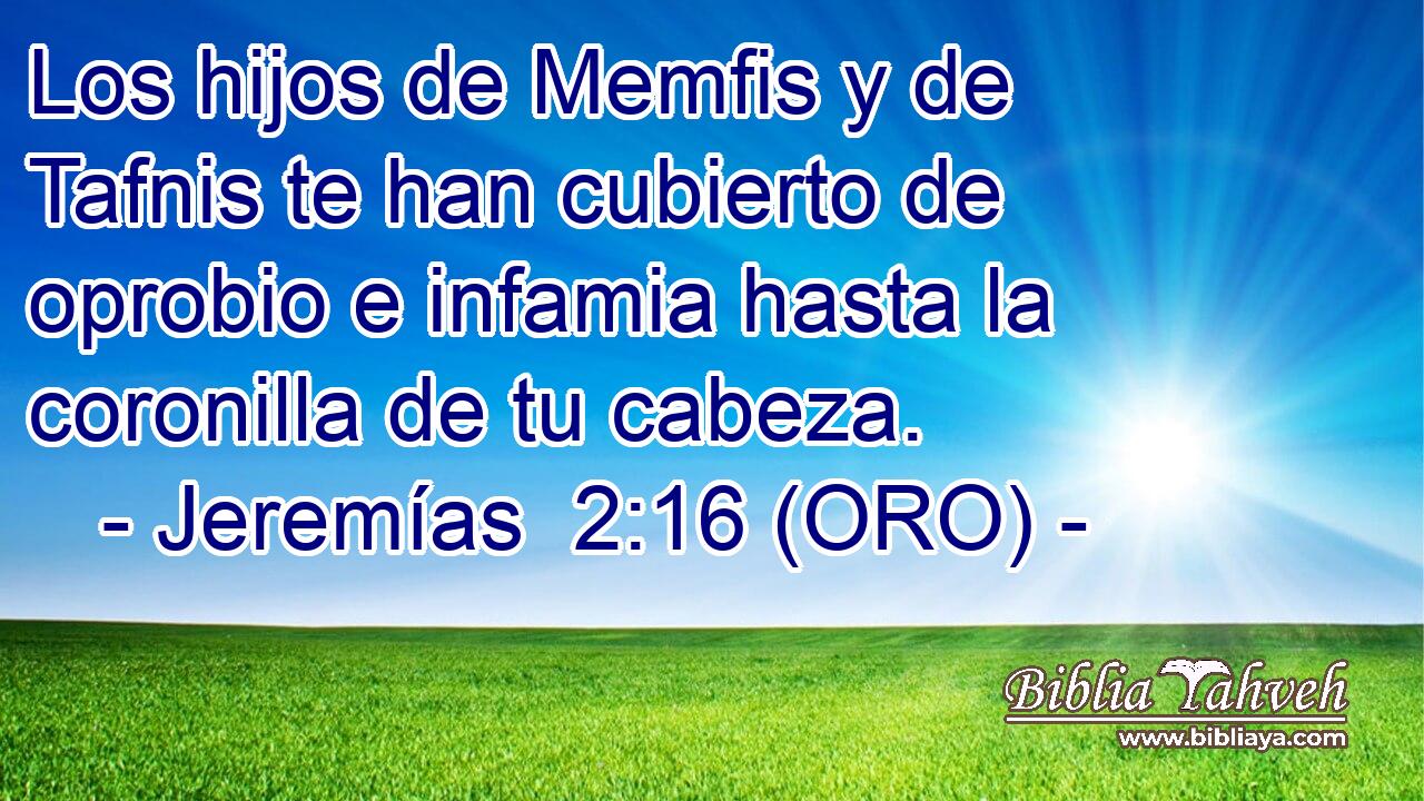  Los hijos de Memfis y de Tafnis te han cubierto de oprobio e infamia hasta la coronilla de tu cabeza. 
