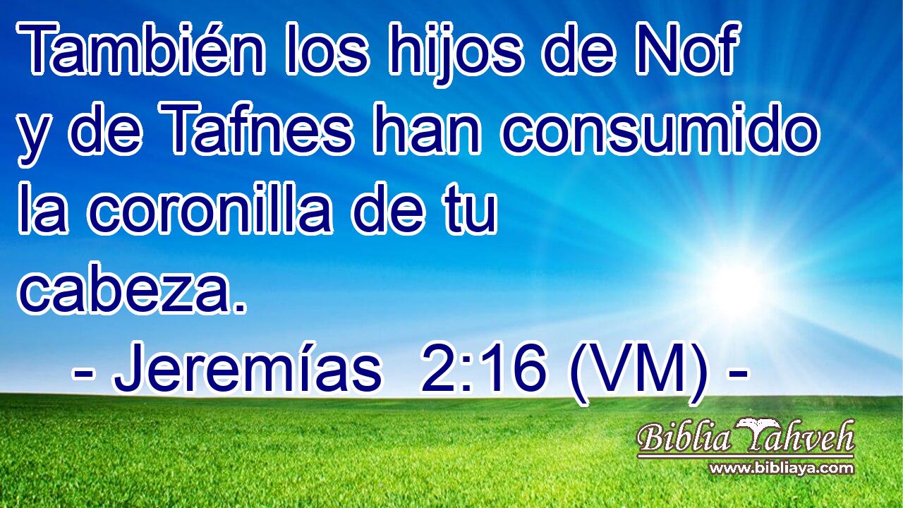  También los hijos de Nof y de Tafnes han consumido la coronilla de tu cabeza. 