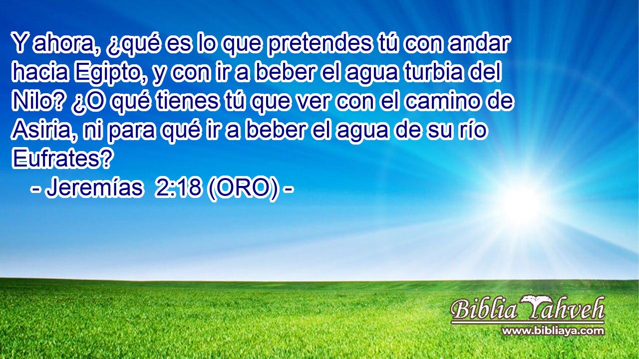  Y ahora, ¿qué es lo que pretendes tú con andar hacia Egipto, y con ir a beber el agua turbia del Nilo? ¿O qué tienes tú que ver con el camino de Asiria, ni para qué ir a beber el agua de su río Eufrates? 