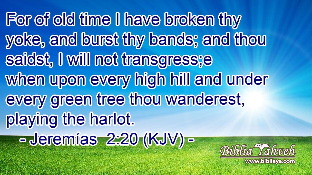 For of old time I have broken thy yoke, and burst thy bands; and thou saidst, I will not transgress;e when upon every high hill and under every green tree thou wanderest, playing the harlot.