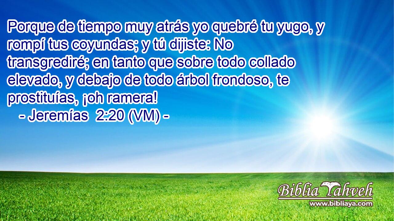  Porque de tiempo muy atrás yo quebré tu yugo, y rompí tus coyundas; y tú dijiste: No transgrediré; en tanto que sobre todo collado elevado, y debajo de todo árbol frondoso, te prostituías, ¡oh ramera! 
