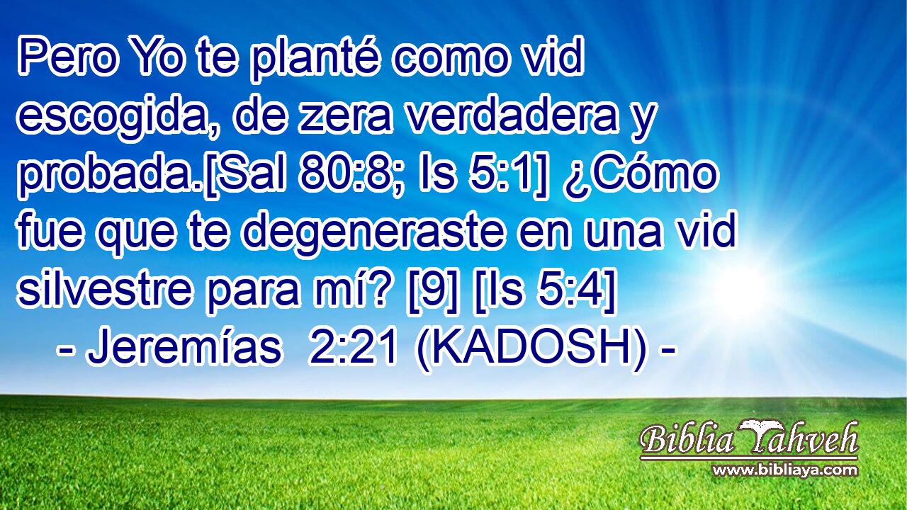  Pero Yo te planté como vid escogida, de zera verdadera y probada.[Sal 80:8; Is 5:1] ¿Cómo fue que te degeneraste en una vid silvestre para mí? [9] [Is 5:4] 