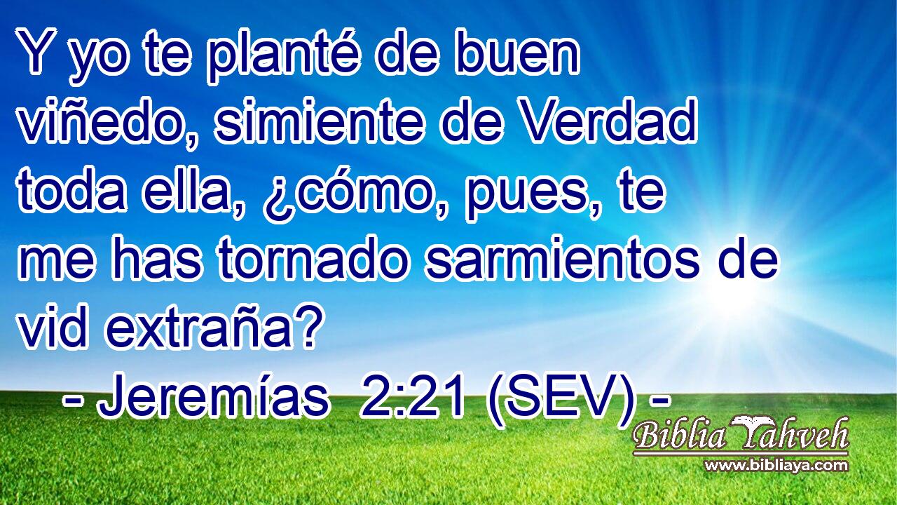 Y yo te planté de buen viñedo, simiente de Verdad toda ella, ¿cómo, pues, te me has tornado sarmientos de vid extraña?