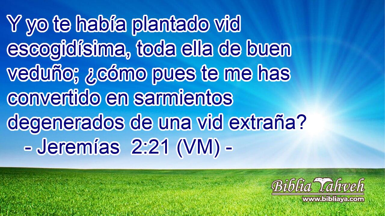  Y yo te había plantado vid escogidísima, toda ella de buen veduño; ¿cómo pues te me has convertido en sarmientos degenerados de una vid extraña? 