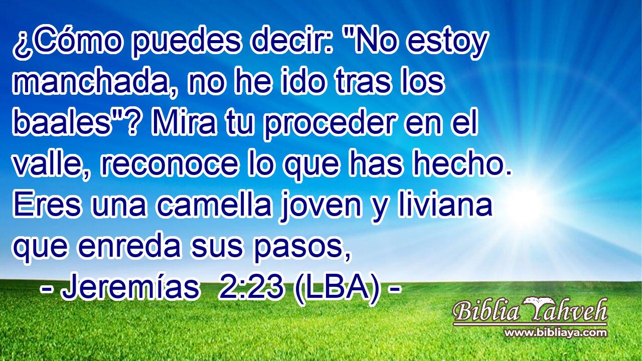 ¿Cómo puedes decir: 