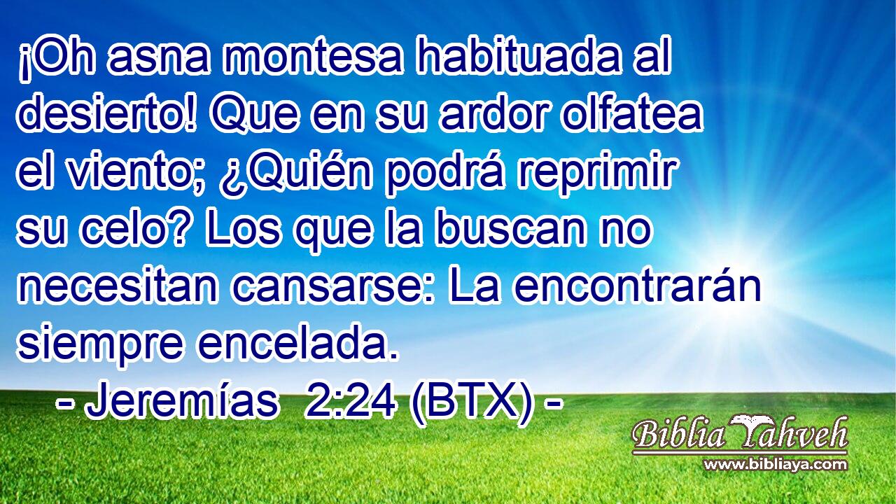 ¡Oh asna montesa habituada al desierto! Que en su ardor olfatea el viento; ¿Quién podrá reprimir su celo? Los que la buscan no necesitan cansarse: La encontrarán siempre encelada.