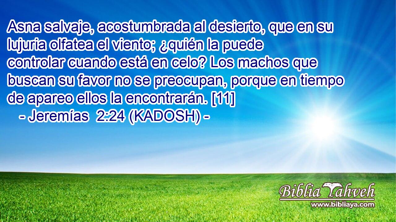  Asna salvaje, acostumbrada al desierto, que en su lujuria olfatea el viento; ¿quién la puede controlar cuando está en celo? Los machos que buscan su favor no se preocupan, porque en tiempo de apareo ellos la encontrarán. [11] 