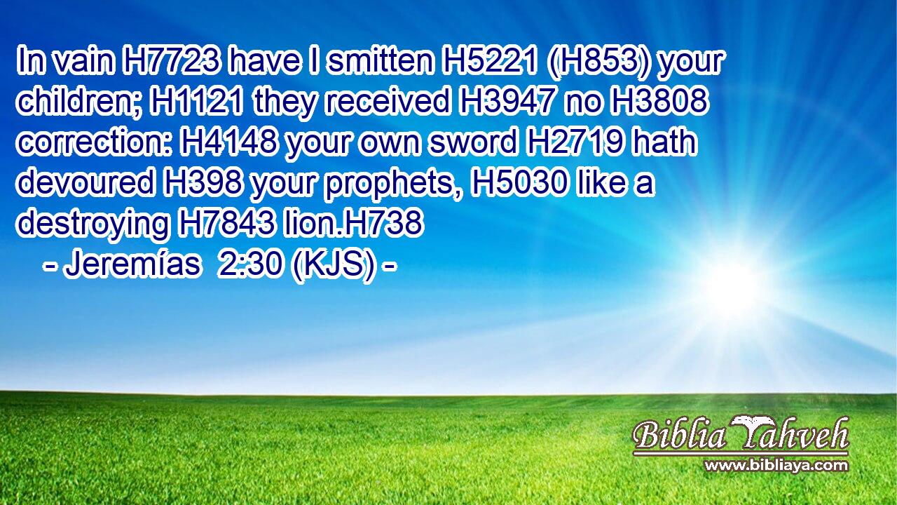 In vain H7723 have I smitten H5221 (H853) your children; H1121 they received H3947 no H3808 correction: H4148 your own sword H2719 hath devoured H398 your prophets, H5030 like a destroying H7843 lion.H738