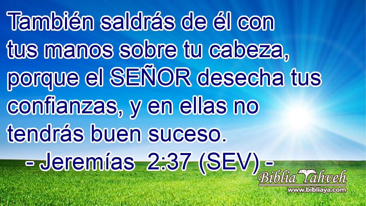 También saldrás de él con tus manos sobre tu cabeza, porque el SEÑOR desecha tus confianzas, y en ellas no tendrás buen suceso.