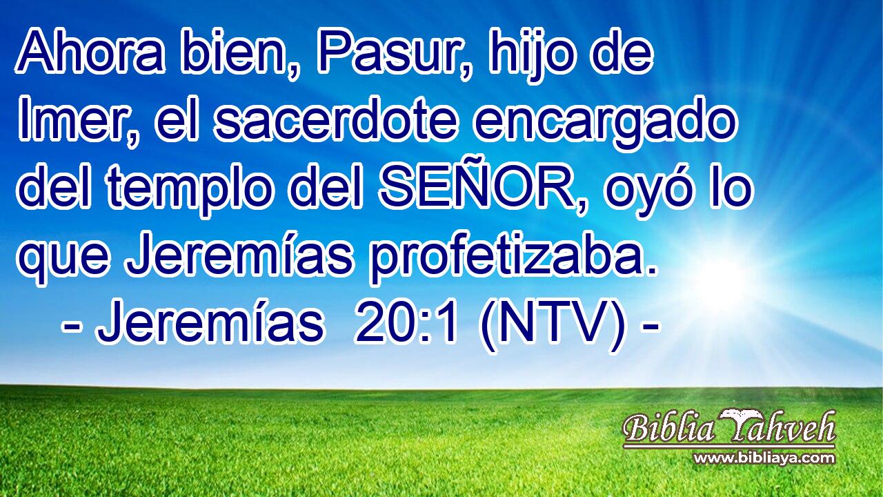 Ahora bien, Pasur, hijo de Imer, el sacerdote encargado del templo del SEÑOR, oyó lo que Jeremías profetizaba.