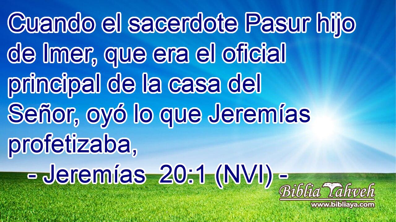  Cuando el sacerdote Pasur hijo de Imer, que era el oficial principal de la casa del Señor, oyó lo que Jeremías profetizaba, 
