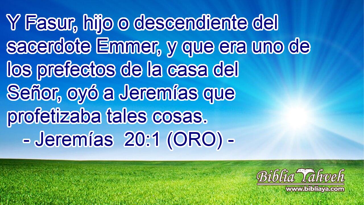  Y Fasur, hijo o descendiente del sacerdote Emmer, y que era uno de los prefectos de la casa del Señor, oyó a Jeremías que profetizaba tales cosas. 