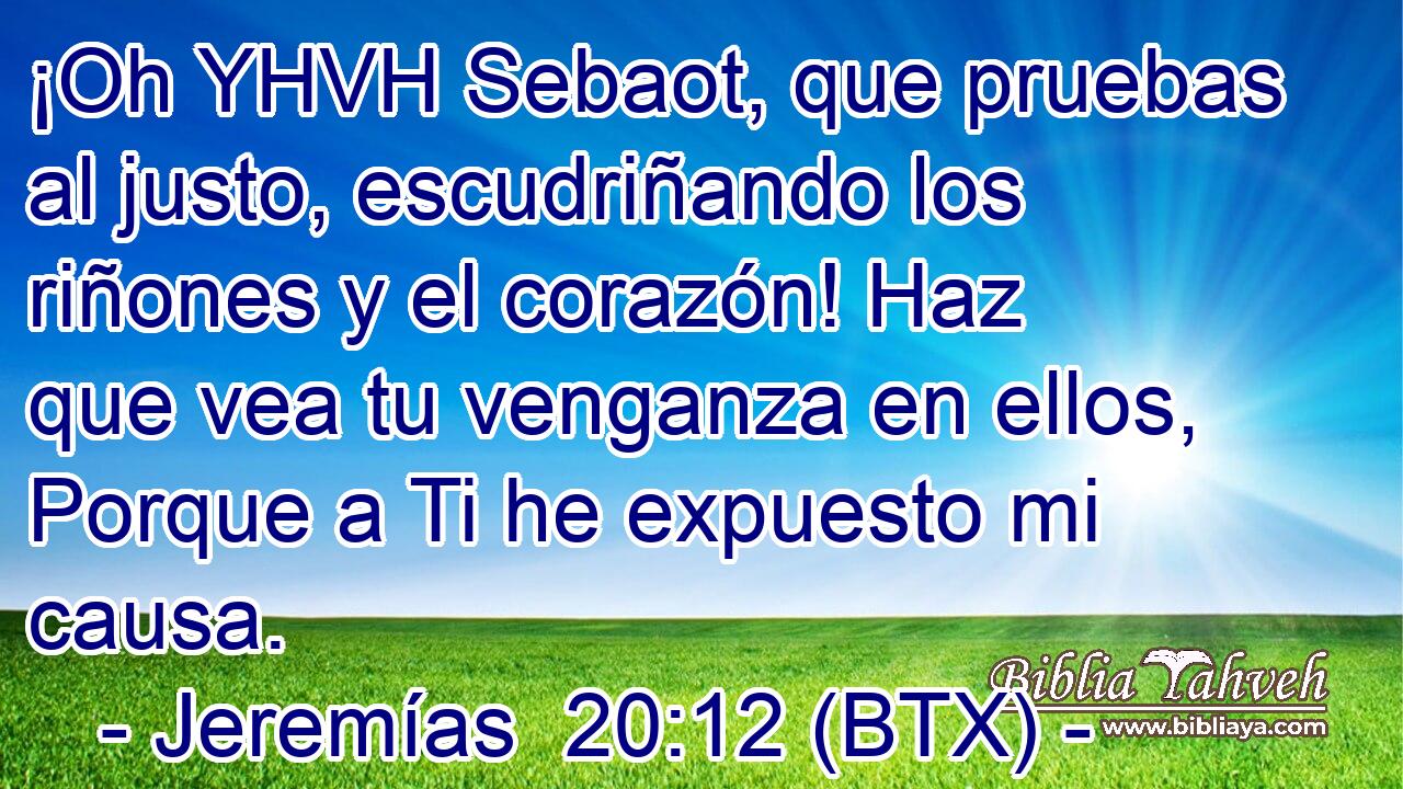 ¡Oh YHVH Sebaot, que pruebas al justo, escudriñando los riñones y el corazón! Haz que vea tu venganza en ellos, Porque a Ti he expuesto mi causa.