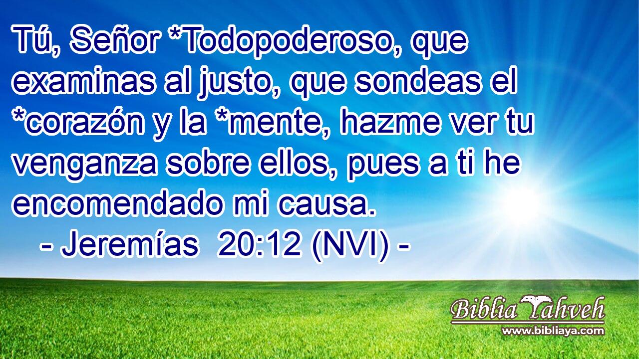  Tú, Señor *Todopoderoso, que examinas al justo, que sondeas el *corazón y la *mente, hazme ver tu venganza sobre ellos, pues a ti he encomendado mi causa. 