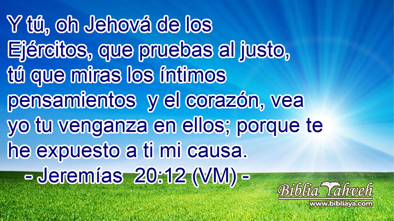  Y tú, oh Jehová de los Ejércitos, que pruebas al justo, tú que miras los íntimos pensamientos  y el corazón, vea yo tu venganza en ellos; porque te he expuesto a ti mi causa. 