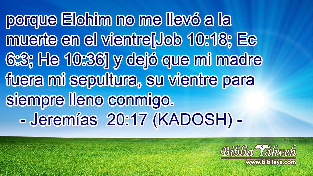  porque Elohim no me llevó a la muerte en el vientre[Job 10:18; Ec 6:3; He 10:36] y dejó que mi madre fuera mi sepultura, su vientre para siempre lleno conmigo. 