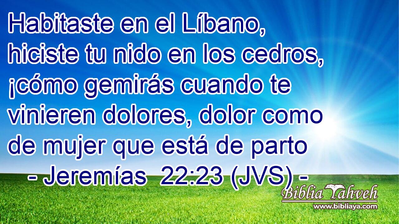 Habitaste en el Líbano, hiciste tu nido en los cedros, ¡cómo gemirás cuando te vinieren dolores, dolor como de mujer que está de parto