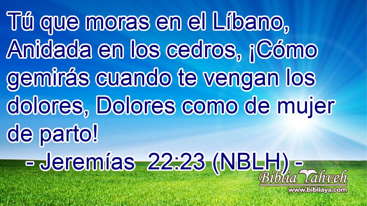  Tú que moras en el Líbano, Anidada en los cedros, ¡Cómo gemirás cuando te vengan los dolores, Dolores como de mujer de parto! 