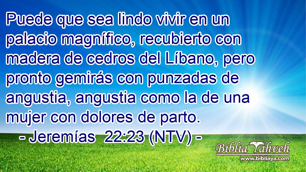 Puede que sea lindo vivir en un palacio magnífico, recubierto con madera de cedros del Líbano, pero pronto gemirás con punzadas de angustia, angustia como la de una mujer con dolores de parto.