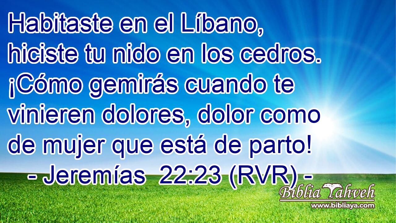 Habitaste en el Líbano, hiciste tu nido en los cedros. ¡Cómo gemirás cuando te vinieren dolores, dolor como de mujer que está de parto!