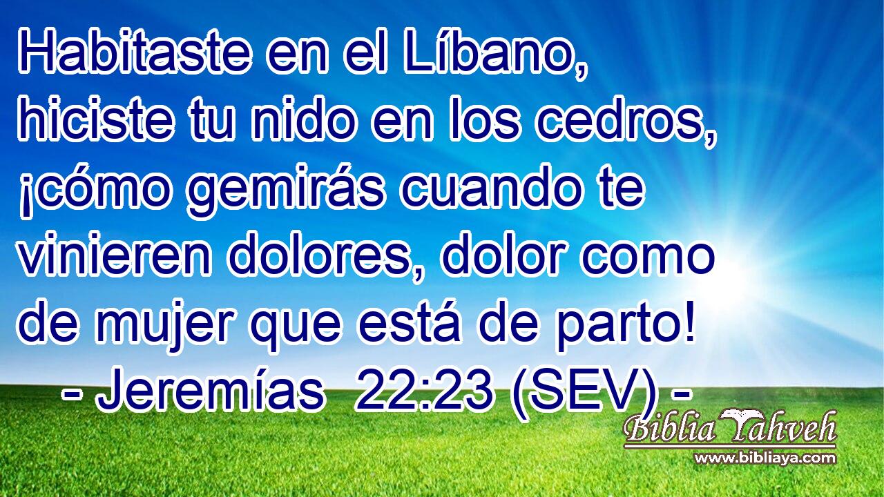 Habitaste en el Líbano, hiciste tu nido en los cedros, ¡cómo gemirás cuando te vinieren dolores, dolor como de mujer que está de parto!
