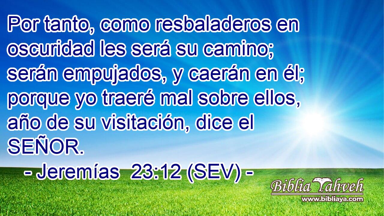Por tanto, como resbaladeros en oscuridad les será su camino; serán empujados, y caerán en él; porque yo traeré mal sobre ellos, año de su visitación, dice el SEÑOR.