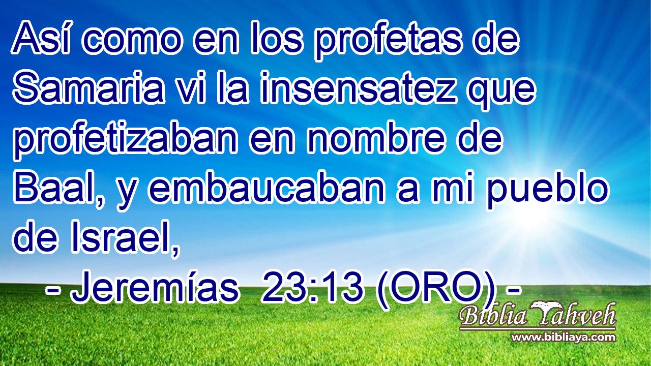  Así como en los profetas de Samaria vi la insensatez que profetizaban en nombre de Baal, y embaucaban a mi pueblo de Israel, 