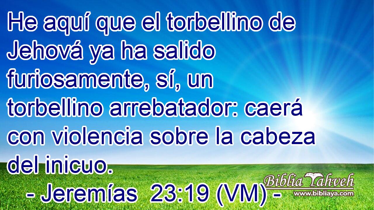  He aquí que el torbellino de Jehová ya ha salido furiosamente, sí, un torbellino arrebatador: caerá con violencia sobre la cabeza del inicuo. 