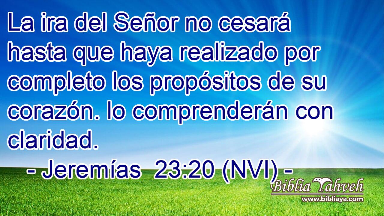  La ira del Señor no cesará hasta que haya realizado por completo los propósitos de su corazón. lo comprenderán con claridad. 