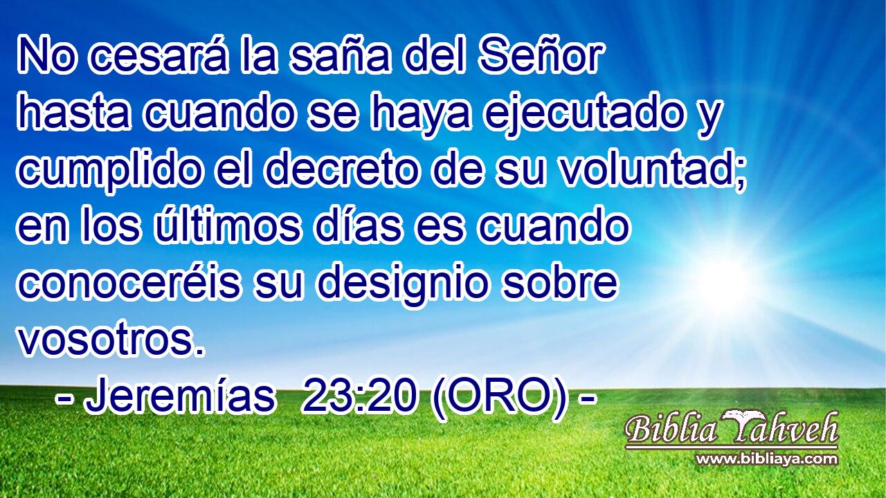  No cesará la saña del Señor hasta cuando se haya ejecutado y cumplido el decreto de su voluntad; en los últimos días es cuando conoceréis su designio sobre vosotros. 