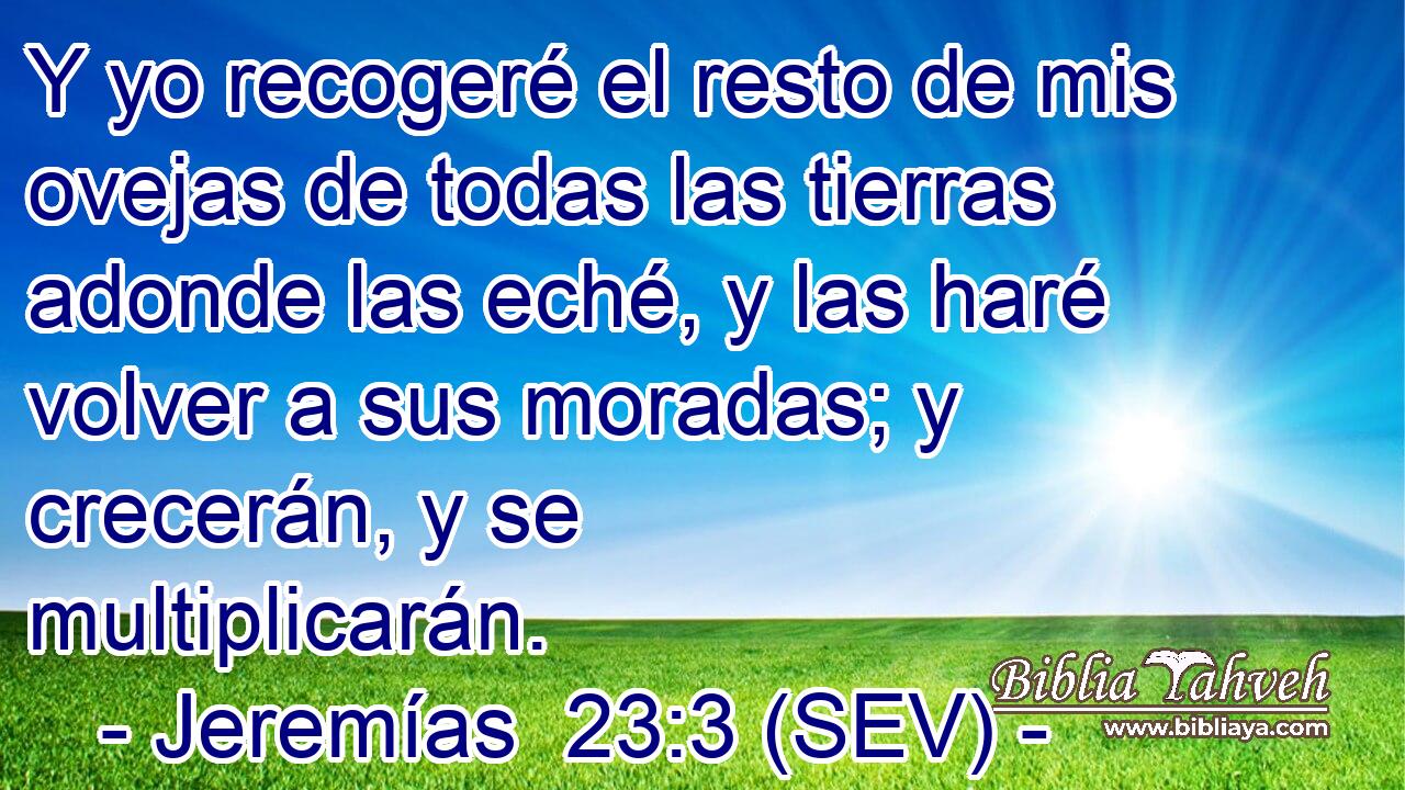 Y yo recogeré el resto de mis ovejas de todas las tierras adonde las eché, y las haré volver a sus moradas; y crecerán, y se multiplicarán.